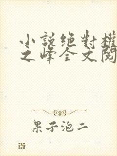 小说绝对权力关之峰全文阅读无弹窗