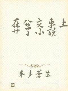 在公交车上被人艹了小说