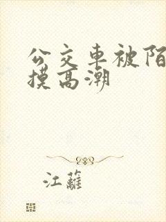 公交车被陌生人摸高潮