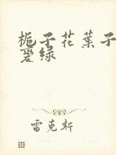 栀子花叶子怎么变绿