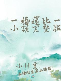 一婚还比一婚高小说完整版全文阅读