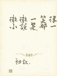 微微一笑很倾城小说是哪一年写的