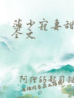 薄少宠妻甜蜜蜜全文