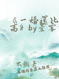 《一婚还比一婚高》by晨雾的光