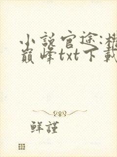 小说官途:权力巅峰txt下载
