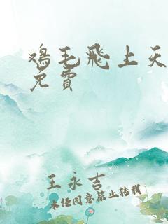 鸡毛飞上天高清免费
