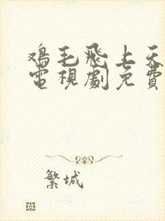 鸡毛飞上天全集电视剧免费观看