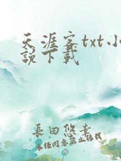 天涯客txt小说下载