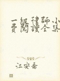 一级律师小说免费阅读全集