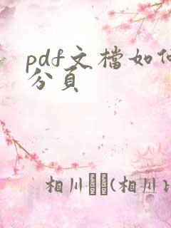 pdf文档如何分页
