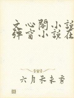 文心阁小说_无弹窗小说在线免费阅读