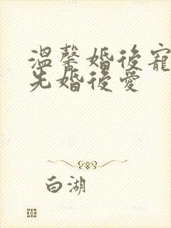 温馨婚后宠文 先婚后爱