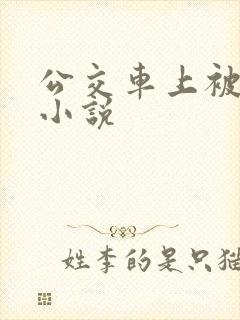 公交车上被强的小说