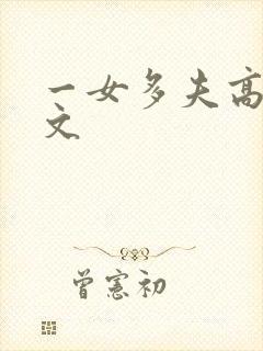 一女多夫高h辣文