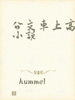 公交车上高潮了小说