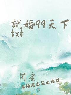 试婚99天下载txt