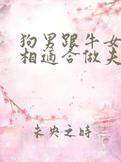 狗男跟牛女的属相适合做夫妻吗