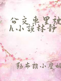 公交车里被挺进h小说林静