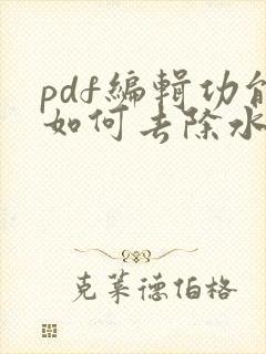 pdf编辑功能如何去除水印