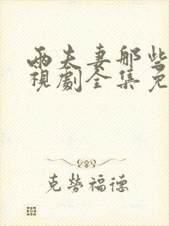两夫妻那些事电视剧全集免费观看