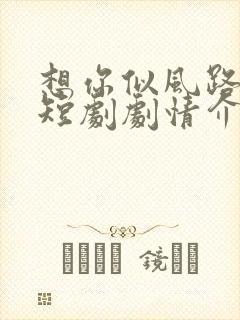 想你似风路过我短剧剧情介绍
