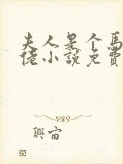夫人是个马甲大佬小说免费阅读