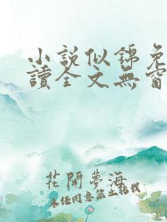 小说似锦免费阅读全文无窗口