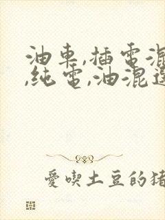 油车,插电混动,纯电,油混选哪个好