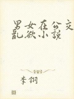 男女在公交车上乱欲小说