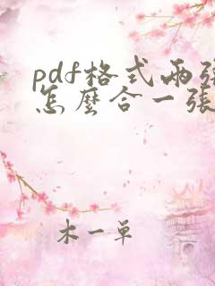 pdf格式两张怎么合一张打印