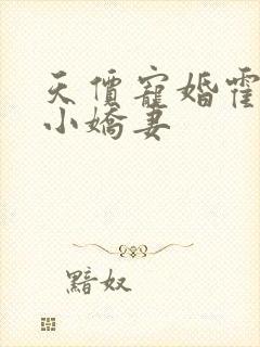 天价宠婚霍总是小娇妻