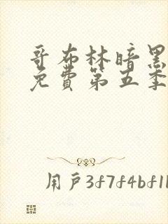 哥布林暗黑精灵免费第五季