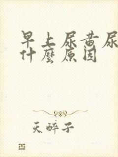 早上尿黄尿臭是什么原因