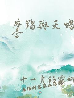 摩羯与天蝎合不合
