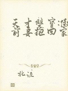 天才双宝:傲娇前妻抱回家小说免费阅读