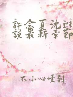 许念夏沈进舟小说最新章节更新内容