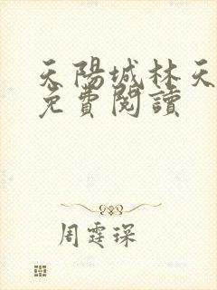 天阳城林天小说免费阅读