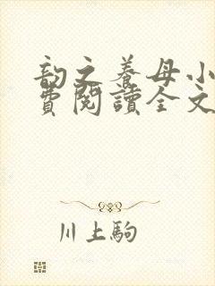韵之养母小说免费阅读全文最新章节