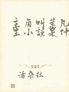 主角叫叶凡的重生小说是什么