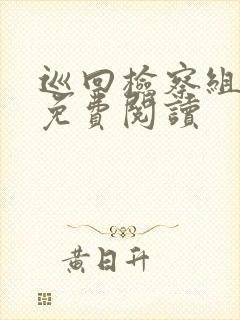 巡回检察组小说免费阅读