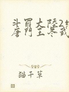斗罗大陆2绝世唐门王冬武魂