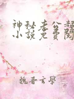 神秘老公超级甜小说免费阅读全文