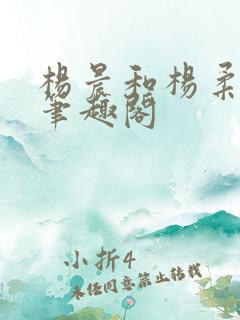 杨晨和杨柔小说笔趣阁