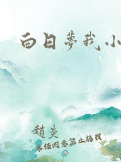 白日梦我小说