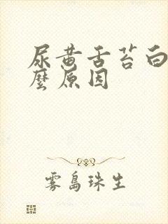 尿黄舌苔白是什么原因