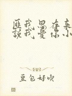 匪我思存来不及说我爱你小说全文免费阅读