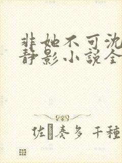 非她不可沈遇苏静影小说全文阅读
