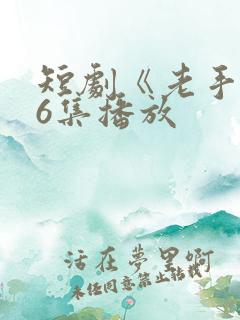 短剧《老手》36集播放