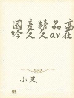 国产精品高潮呻吟久久av在线