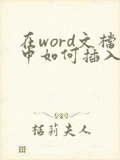在word文档中如何插入pdf